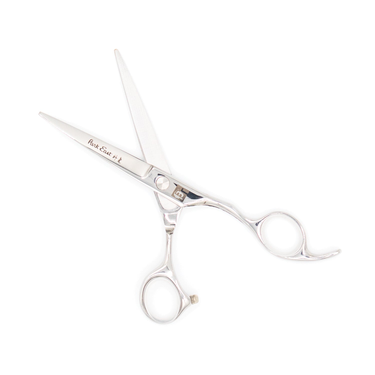 Professional 6" Salon Hair Cutting Scissors (6CR Steel)