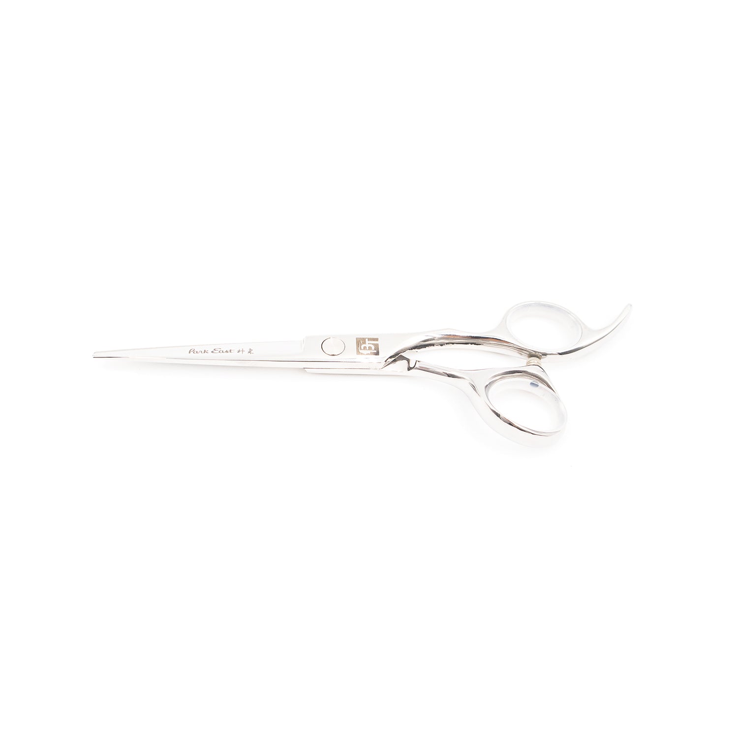 Professional 6" Salon Hair Cutting Scissors (6CR Steel)