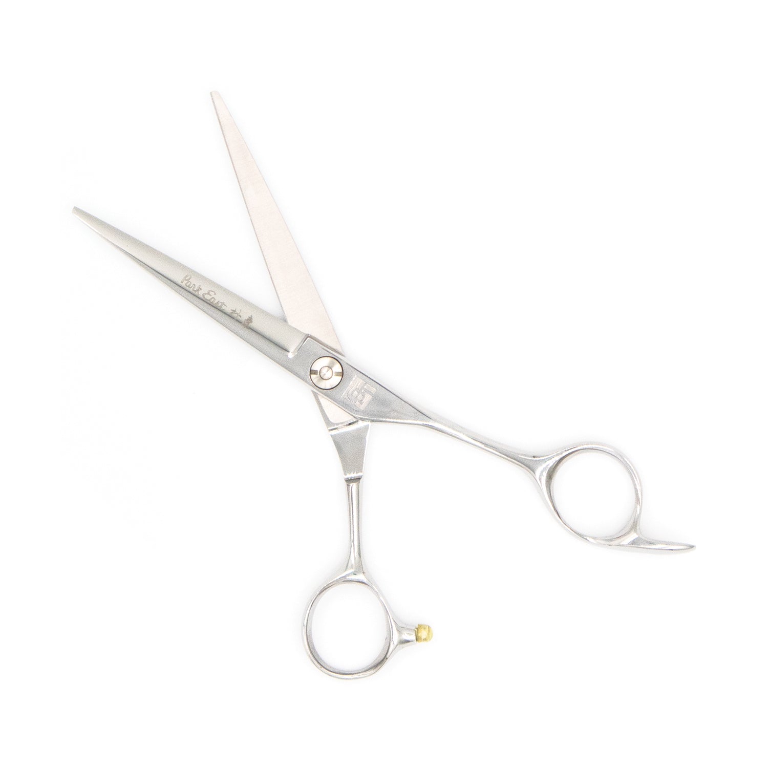 Professional 6" Salon Hair Cutting Scissors (9CR Steel)